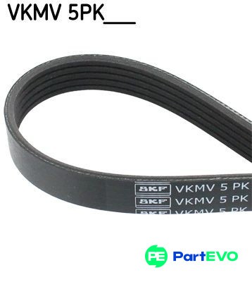 Skf ribbed belt vkmv5pk2063 - v-ribbed,