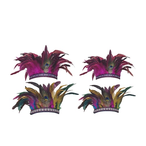Feather headdress decorative - feather,
