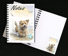 Norfolk Terrier Dog