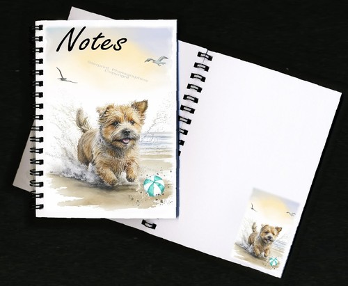 Norfolk terrier dog - terrier,