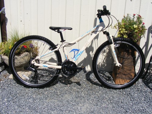 Ladies girls giant liv - girls, bike