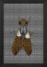 Deco House Fly Framed Wall Art