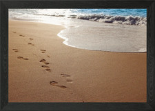 Footprints in the sand Framed