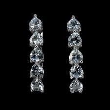 Summer 925 Silver Earrings