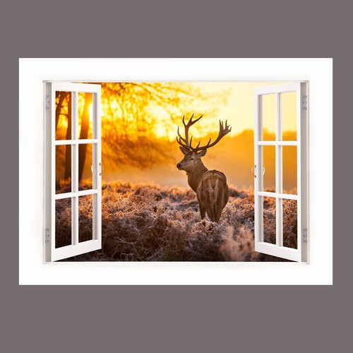Stag deer forest animal - stag,
