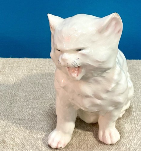 Hissing cat royal - hissing,