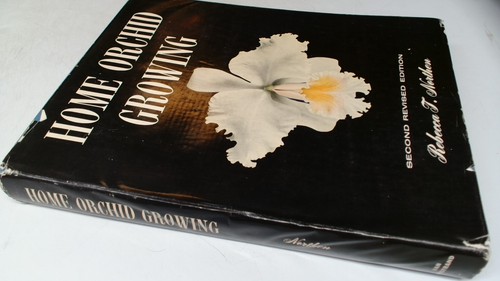 Home orchid growing - orchid,
