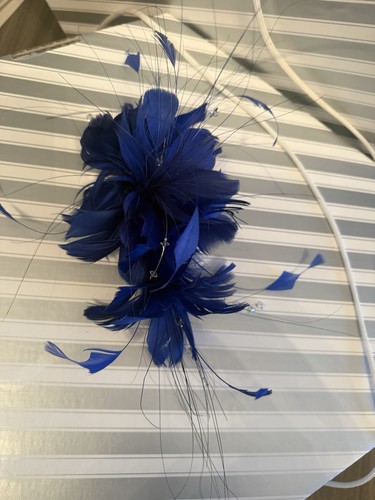 Blue feather and sparkle - blue,