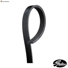 V-RIBBED BELT 4PK780 FOR