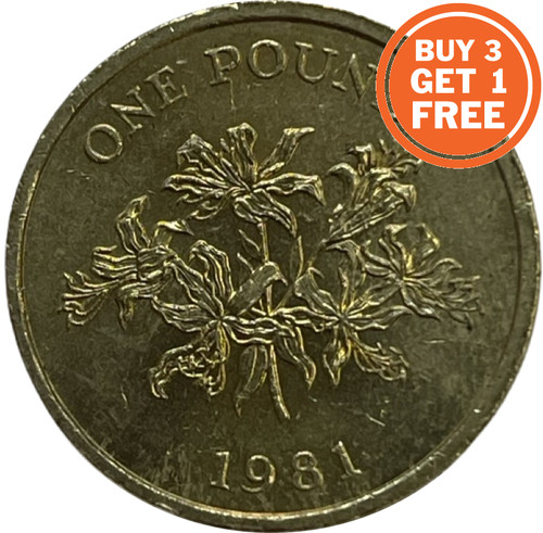 Guernsey pound 1981 - £1,