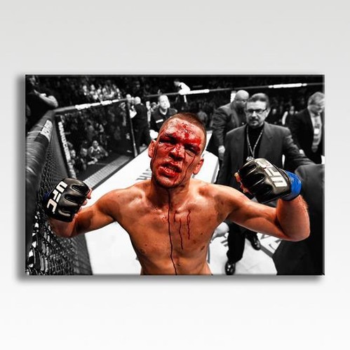 Nate diaz conor - nate, mcgregor