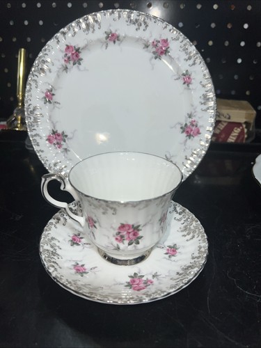 Royal windsor rose - windsor,