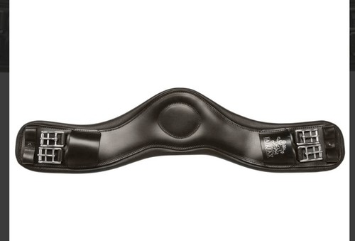 Fairfax performance dressage - performance,