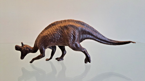 Invicta natural history museum - invicta,