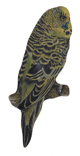 Green budgerigar plaque - plaque,