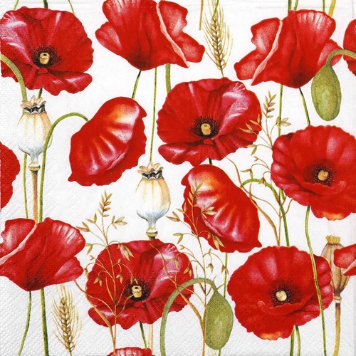 Poppy paper napkins - napkins, floral