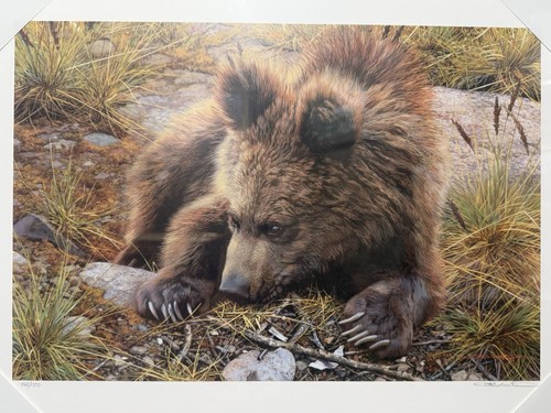 Carl brenders bearly - carl, “bearly