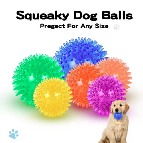New squeaky dog ball - dog,