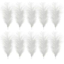 Small/Large Ostrich Feathers