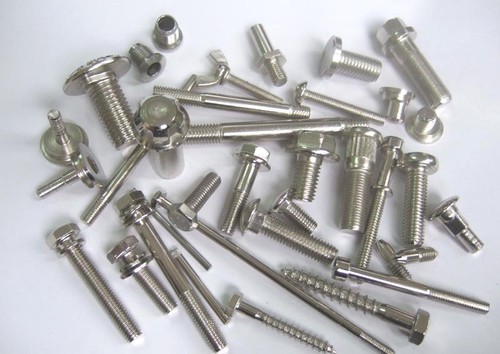 Triumph tiger cub stainless - cub,
