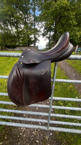 Harry dabbs inch general - harry, 17