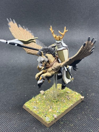 Warhammer old world - old, bretonnian
