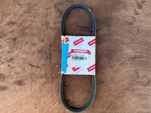 Yanmar 1gm 1gm10 belt - 1gm, v