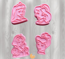 Disney Princess Cookie Biscuit