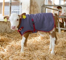 Homestead Calf Coat - Thermo