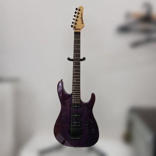 Washburn mercury electric - mercury,