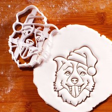 Border Collie with Santa Hat