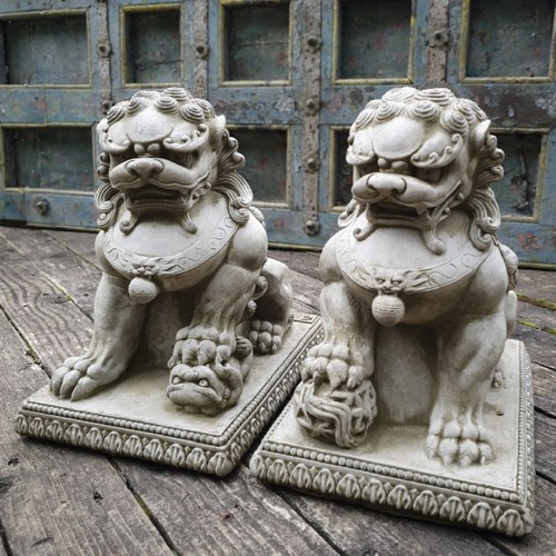 Pair foo dog stone - foo, statues