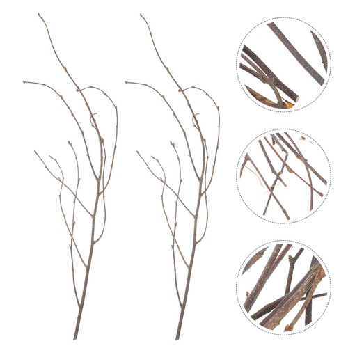 Pcs household dried twig - pcs,