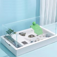  Turtle Accessories for Tank