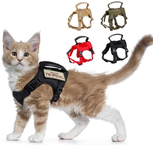 Cat pet harness small dog - pet,