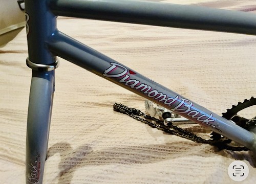 Diamond back cool streak - back,