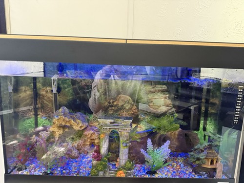 Fluvalfish tank 125 with - 125, l