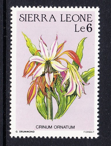 Sierra leone flowers 1986 - sierra, flowers,