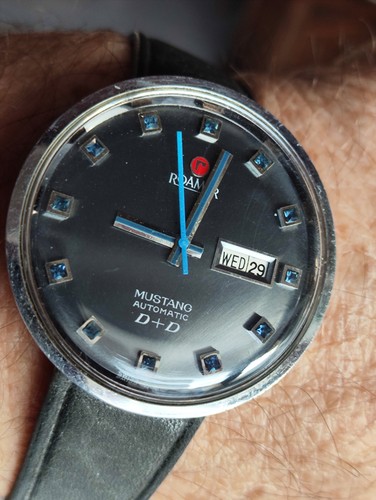 Rare vintage roamer - vintage, mustang