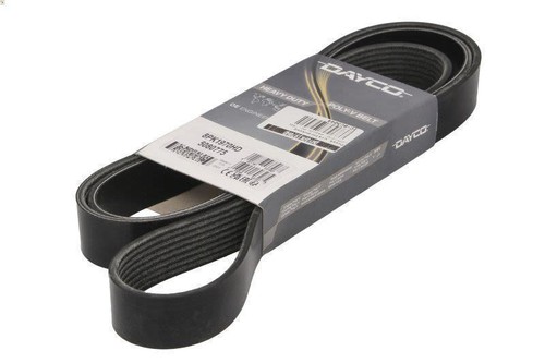 Ribbed belt dayco 8pk1970hd - v-ribbed,