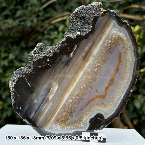Natural thick slice polished - natural,