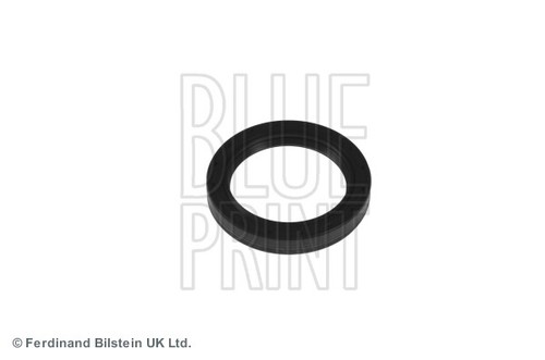 Crankshaft seal blue print - seal,