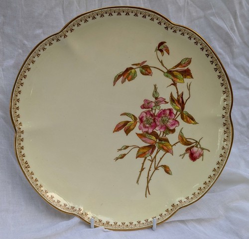 Royal worcester blush ivory - blush,