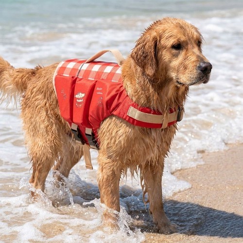 Dog life jacket waterproof - dog,