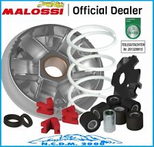 Malossi 517075 Variator