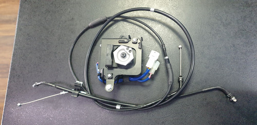 Genuine kawasaki exhaust valve - exhaust,