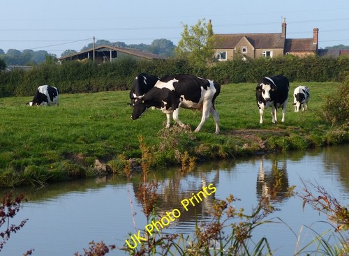 Photo 6x4 brookfield - photo,