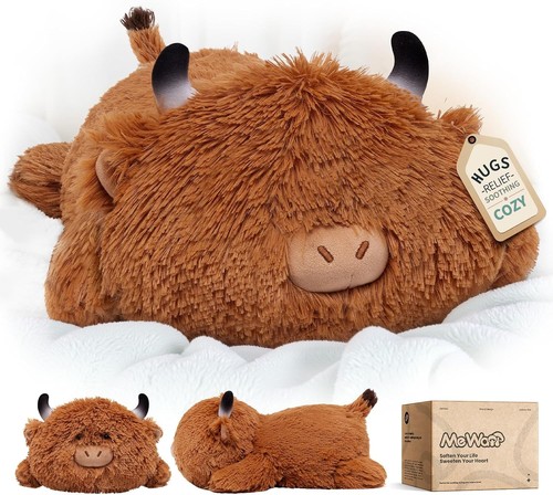 Highland cow teddy cute - highland,