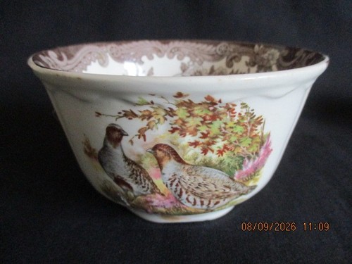 Royal worcester palissy game - worcester,