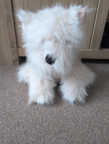 West highland white terrier - highland,